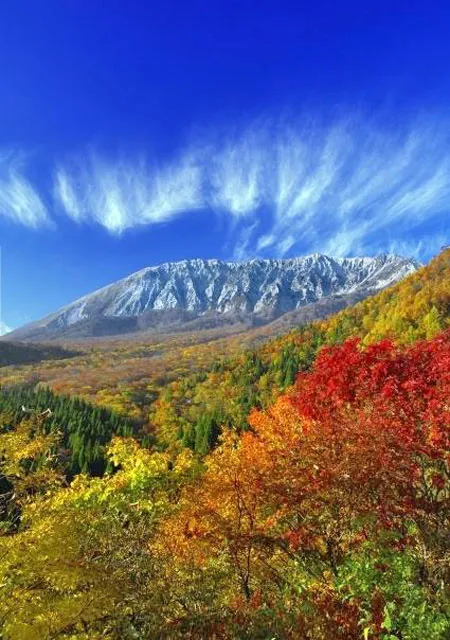 【紅葉・見ごろ】奥大山 鍵掛峠_1