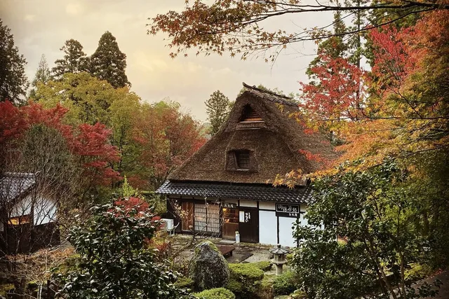 【紅葉・見ごろ】加賀 伝統工芸村　ゆのくにの森_1
