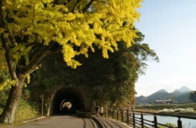 【紅葉・見ごろ】競秀峰・青の洞門_1