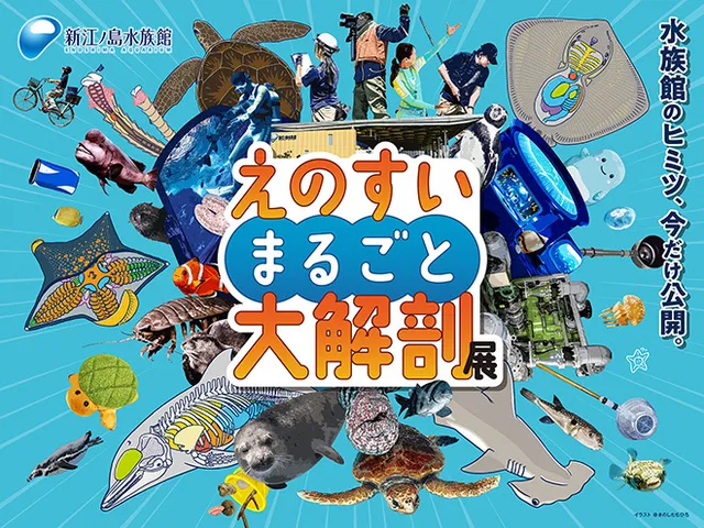 えのすいまるごと大解剖展_1