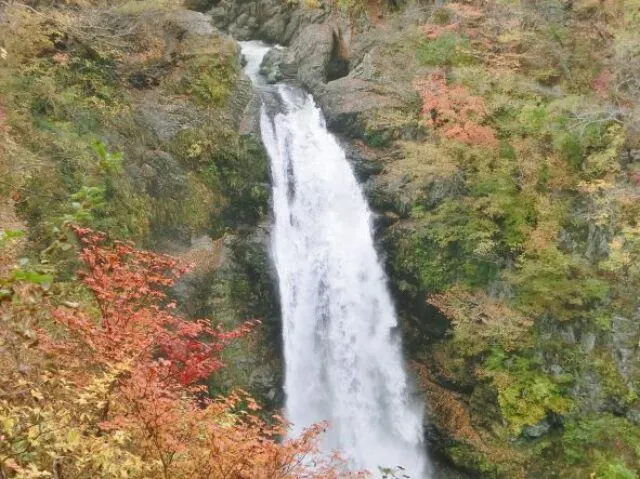 【紅葉・見ごろ】秋保大滝_1