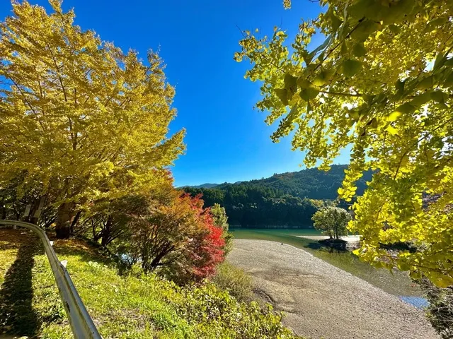 【紅葉・見ごろ】さくらの里公園_1