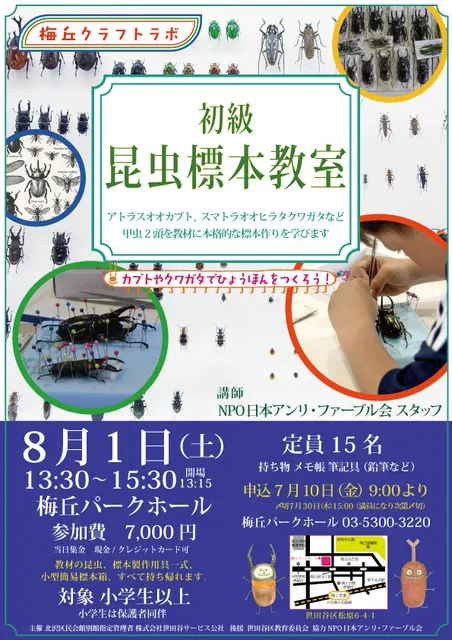 梅丘クラフトラボ　初級昆虫標本教室_1