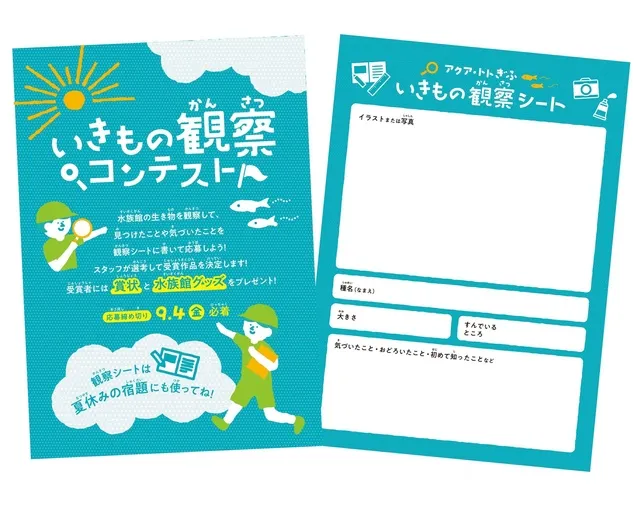 いきもの観察コンテスト_1