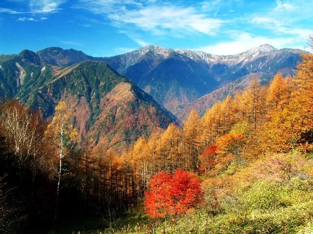 【紅葉・見ごろ】夜叉神峠_1
