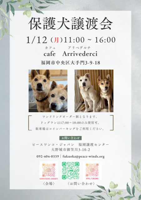 保護犬譲渡会＠カフェアリベデルチ_1