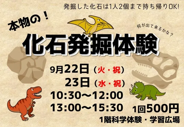 化石発掘体験_1