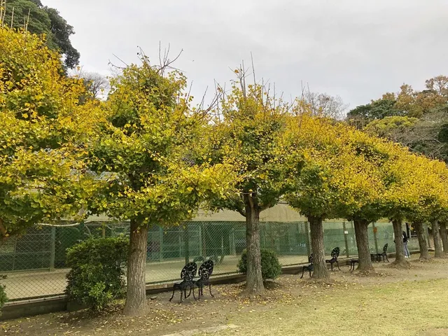 【紅葉・見ごろ】城山公園_1