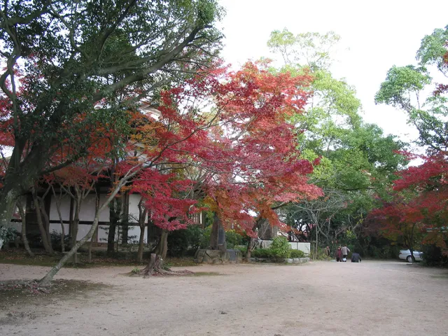 【紅葉・見ごろ】覚苑寺_1