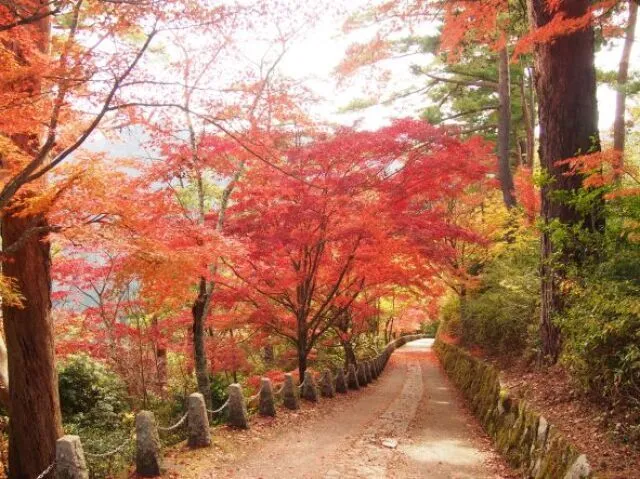 【紅葉・見ごろ】吉野山_1