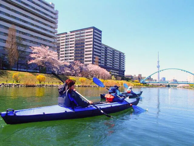 桜お花見カヌー満喫　東京水路・運河 スカイツリー接近 カヤック体験クルーズ_1