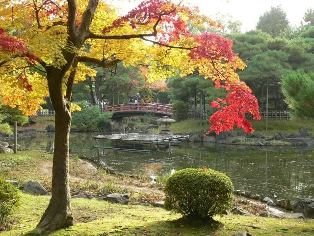 【紅葉・見ごろ】芦城公園_1