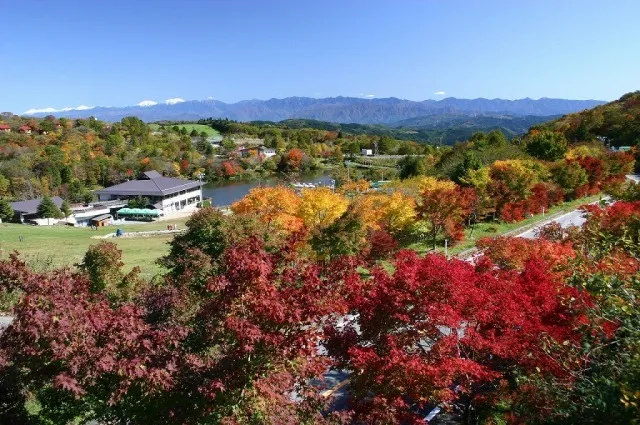 2026秋の茶臼山高原まつり_1