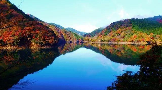 【紅葉・見ごろ】みどり湖畔_1