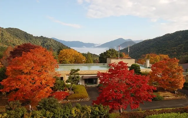【紅葉・見ごろ】広島県緑化センター_1