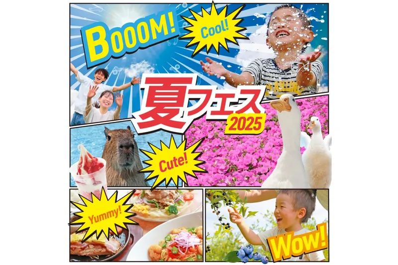 マザー牧場 夏フェス 2025