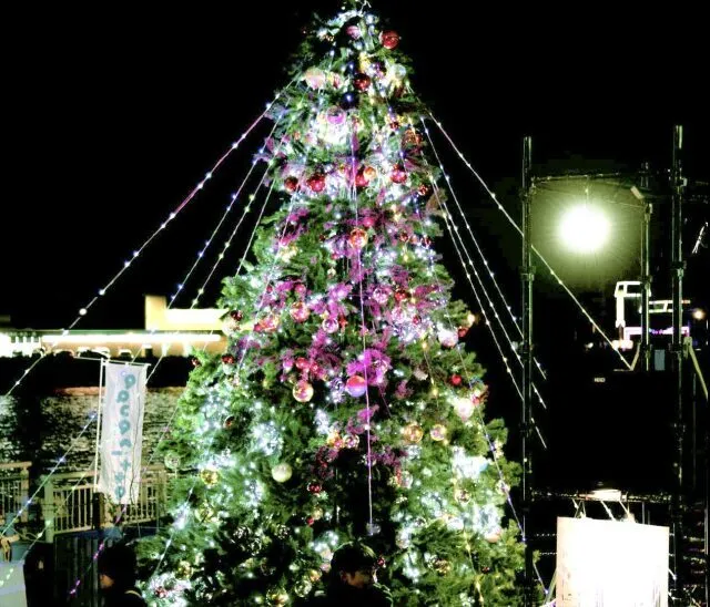 万代ふ頭クリスマスツリーライトアップ_1