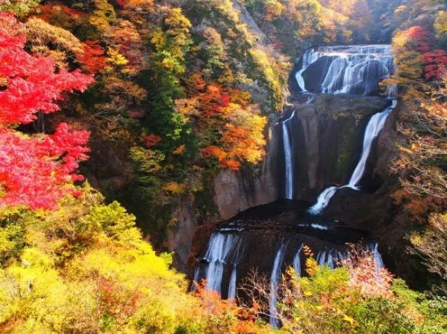 【紅葉・見ごろ】袋田の滝_1