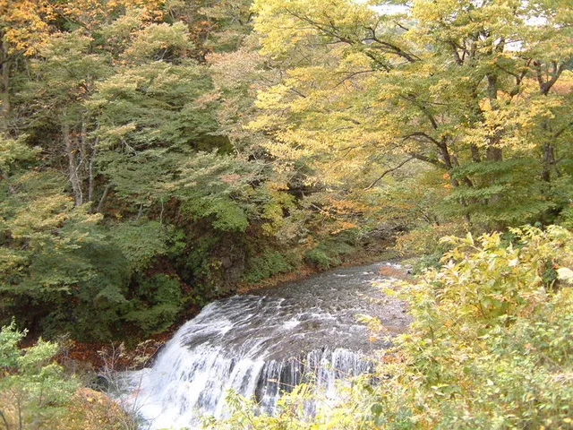 【紅葉・見ごろ】葛丸川渓流_1