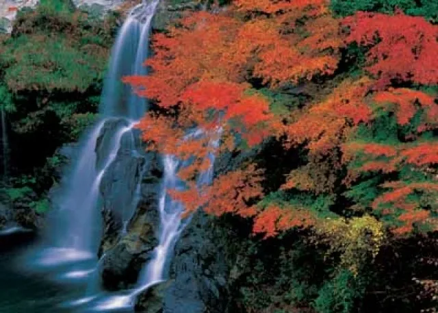【紅葉・見ごろ】大轟の滝_1