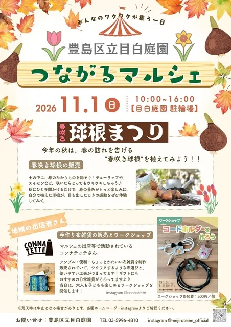 目白庭園　つながるマルシェ 球根まつり（11月）_1