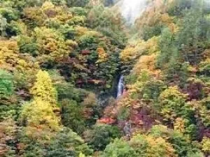 【紅葉・見ごろ】天狗の滝_1