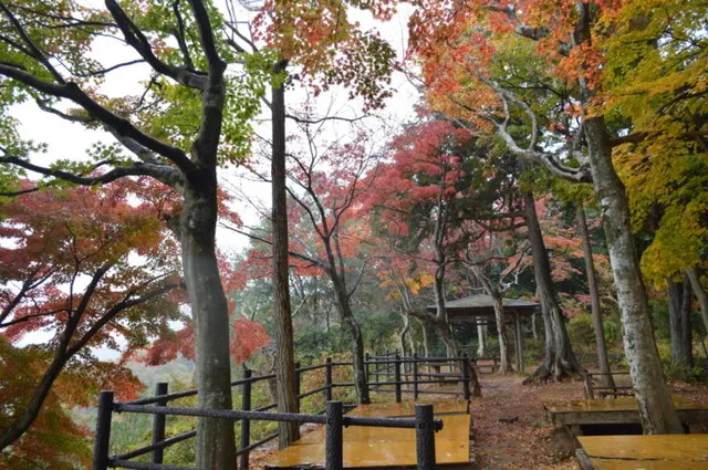 太平山もみじまつり_1