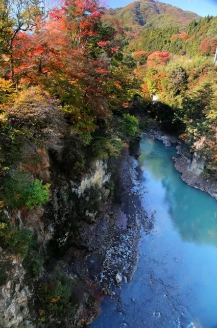 【紅葉・見ごろ】吾妻峡_1