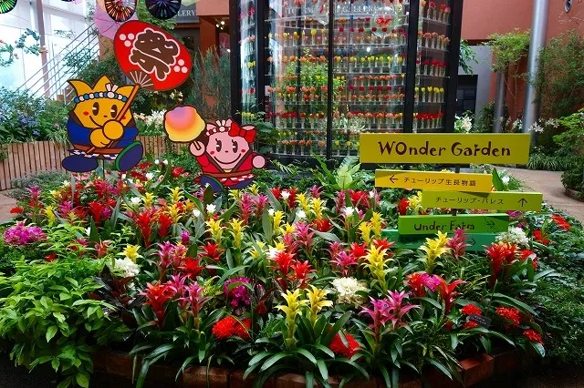 季節展示「盛夏の庭」_1