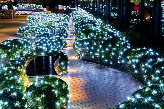 PARK VIEW WINTER GARDEN_1
