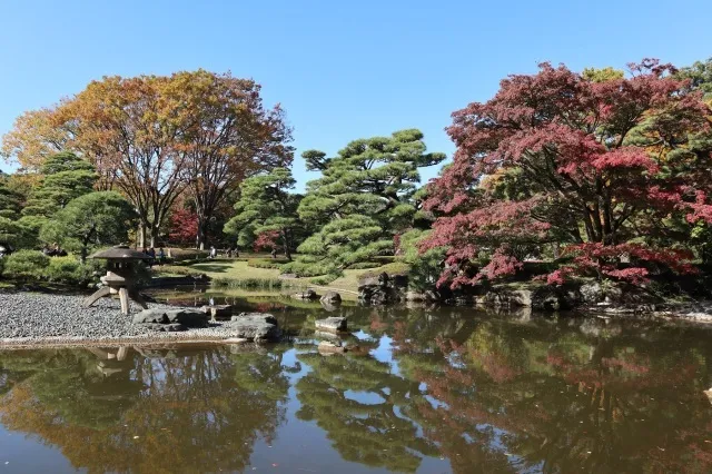 【紅葉・見ごろ】皇居東御苑_1