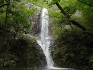 【紅葉・見ごろ】深谷の滝_1