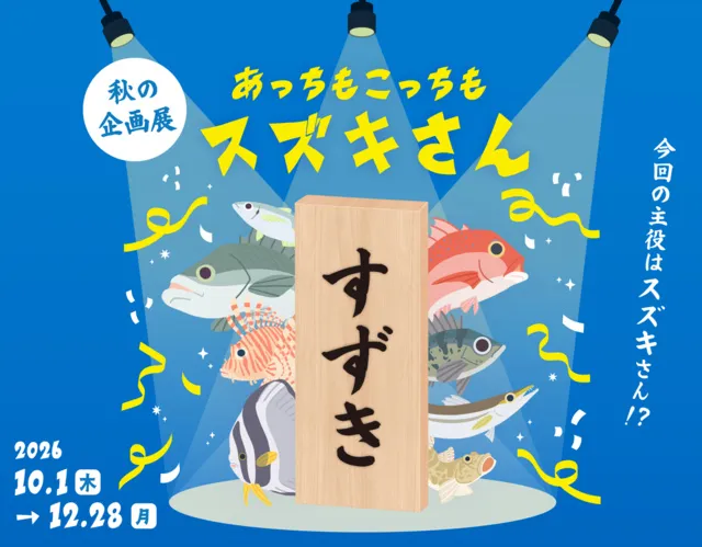 企画展 「あっちもこっちもスズキさん」_1