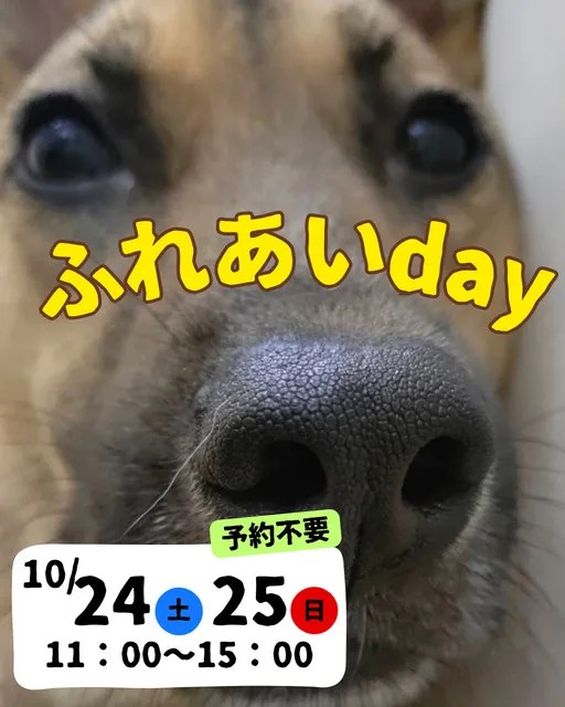 ふれあいday（10月）_1