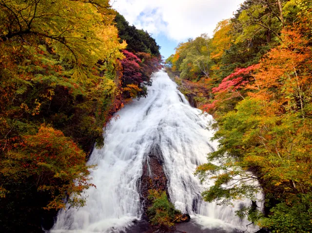 【紅葉・見ごろ】湯滝_1