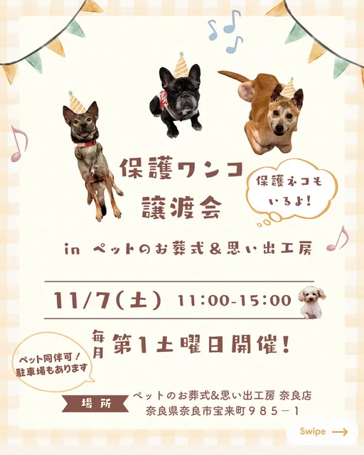 保護ワンコ譲渡会inペットのお葬式＆思い出工房（11月）_1