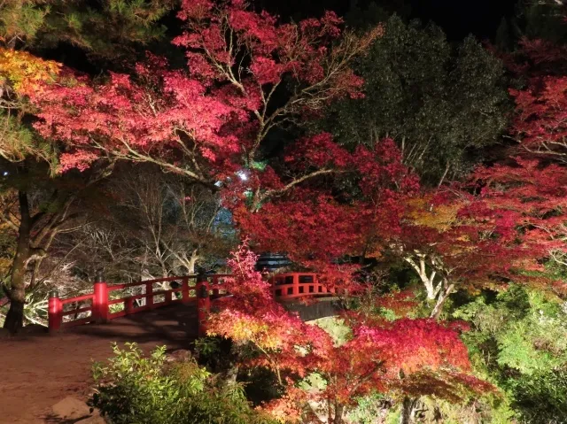 【紅葉・見ごろ】紅葉谷公園_1