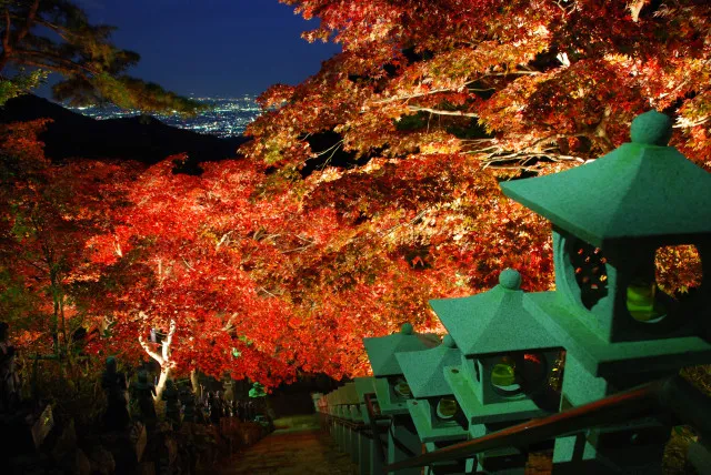 大山地区紅葉ライトアップ_1