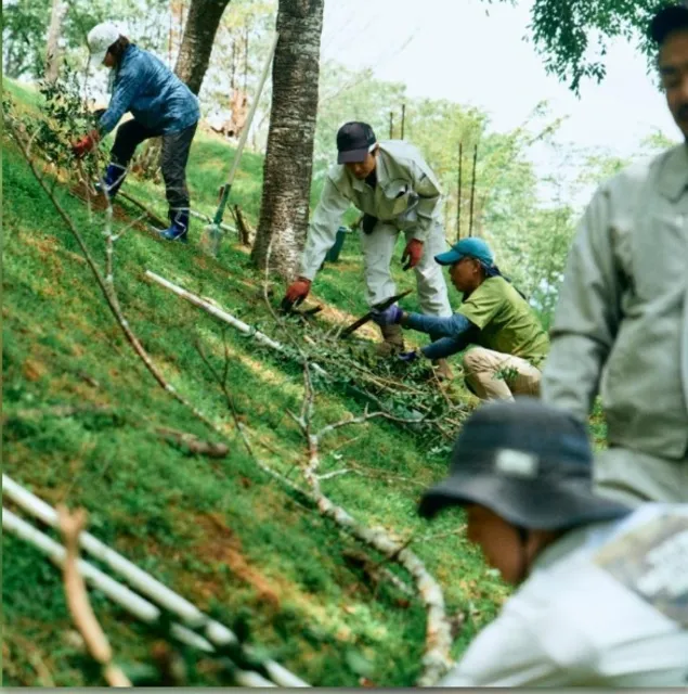 自然・文化・伝統に触れ、桜守活動を体験する吉野ハイキング
