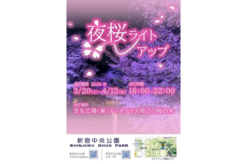 夜桜ライトアップ【新宿中央公園】
