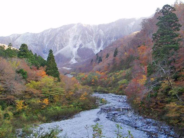 大山秋色週間_1