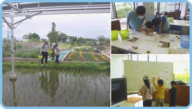 むかっち博士の自然観察会　6月　田んぼの生き物調べ_1