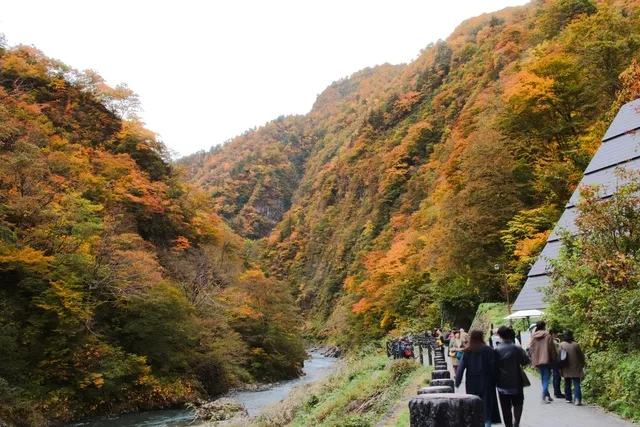【紅葉・見ごろ】清津峡_1