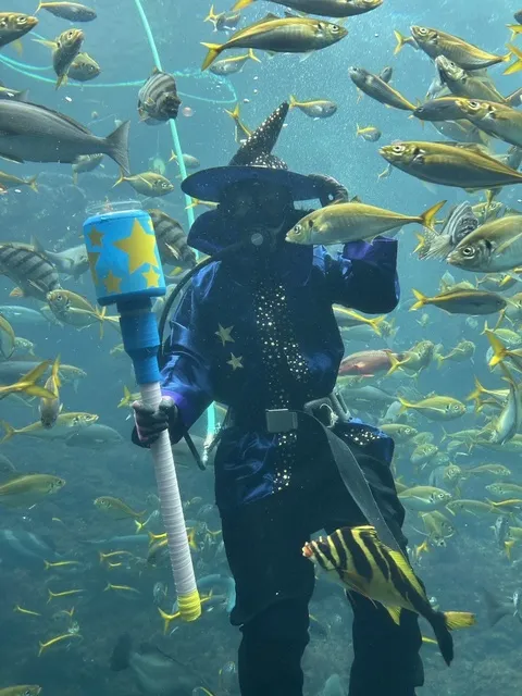 下田海中水族館に今年も仮装ダイバーがやってくる！_1
