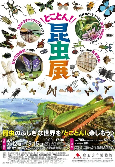 企画展　とことん！昆虫展_1
