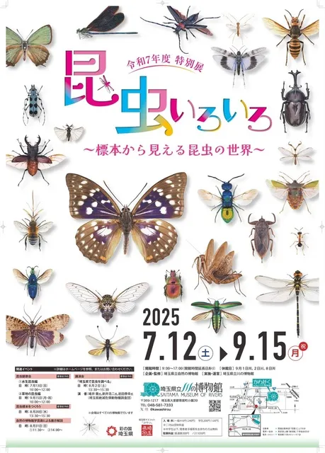 特別展「昆虫いろいろ～標本から見える昆虫の世界～」_1