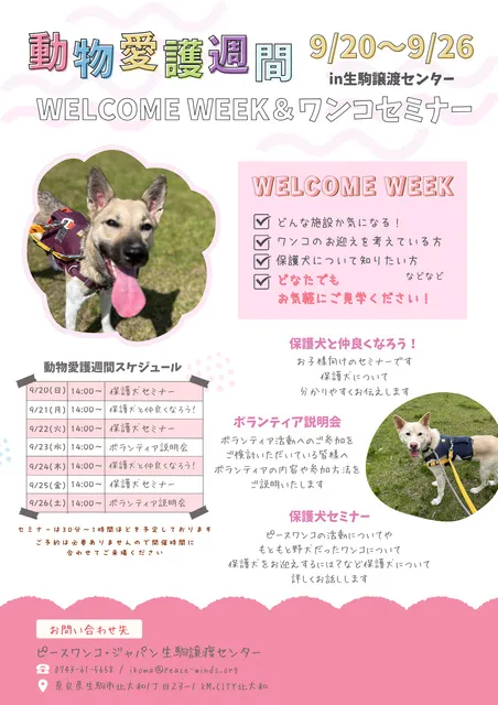 WELCOME WEEK＆セミナー WEEK　(生駒譲渡センター)_1