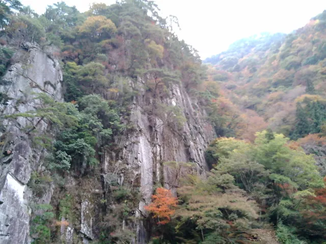 【紅葉・見ごろ】富郷渓谷_1