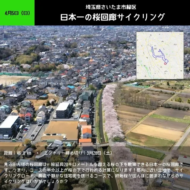 日本一の桜回廊サイクリング_1