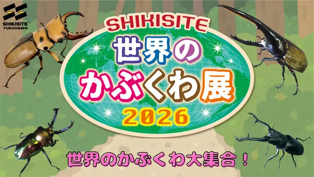 シキサイト世界のかぶくわ展2026_1